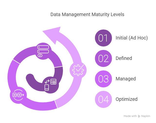 Data Governance Maturity Map